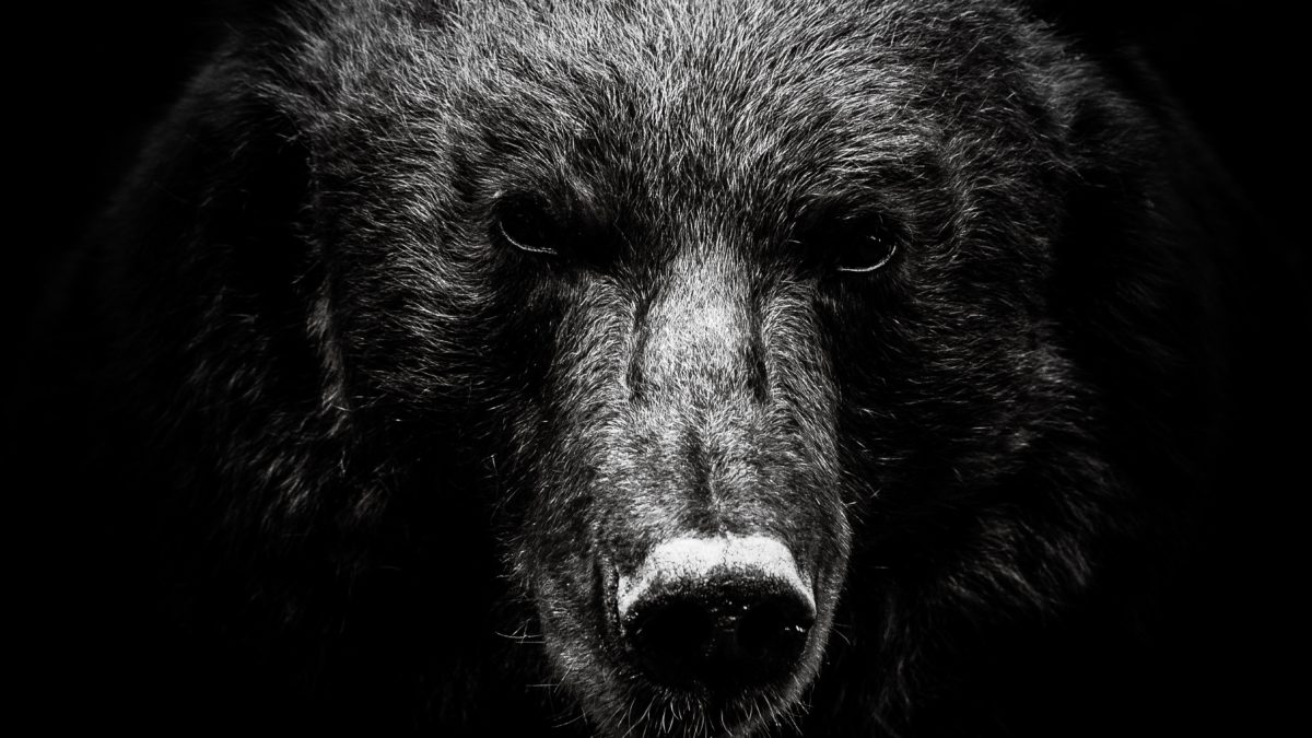 VC-backed IPOs mit bearisher Performance; Foto: pexels.com