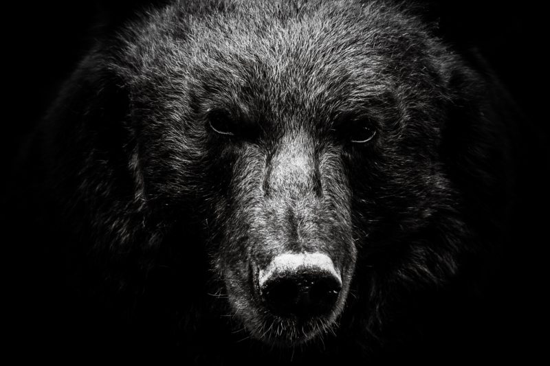 VC-backed IPOs mit bearisher Performance; Foto: pexels.com